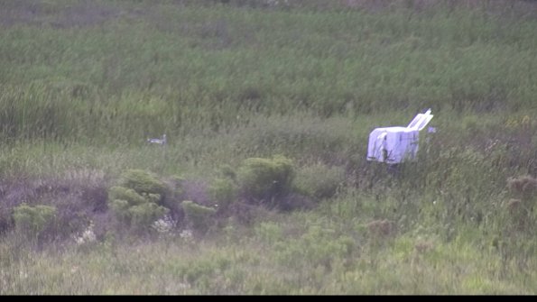 capture-5-23-08-12_16-40-10-00