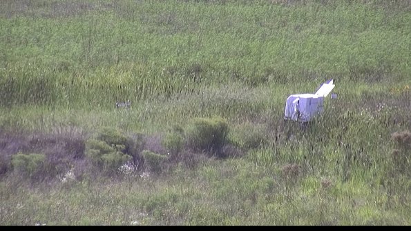 capture-5-23-08-12_16-42-04-75