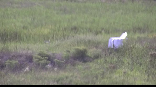 capture-5-23-08-12_17-06-35-99