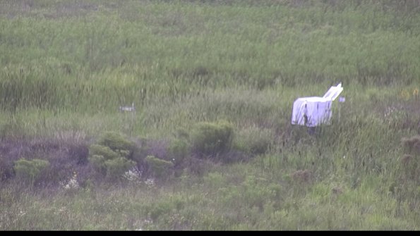 capture-5-23-08-12_17-08-36-04