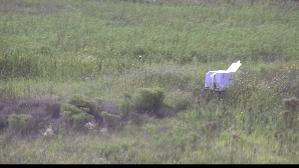 capture-5-23-08-12_17-18-36-08