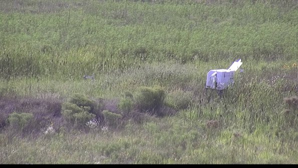 capture-5-23-08-12_17-24-36-21