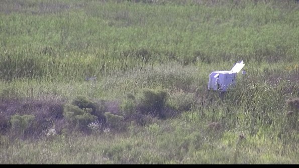 capture-5-23-08-12_17-53-02-82