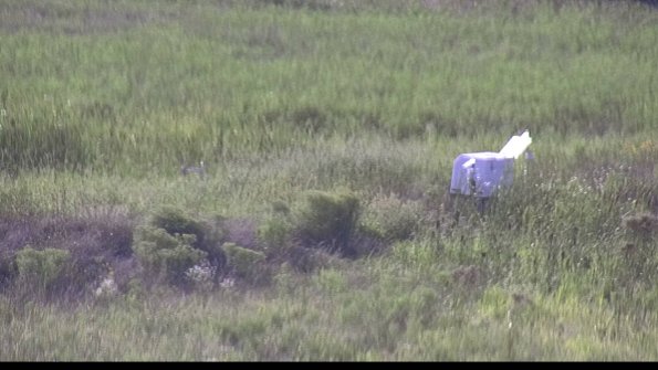 capture-5-23-08-12_18-01-03-34