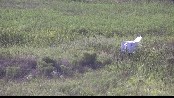 capture-5-23-08-12_18-09-02-85