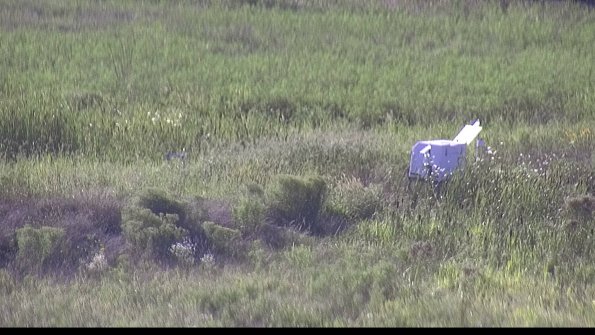 capture-5-23-08-12_18-19-02-69