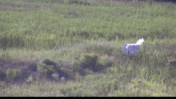 capture-5-23-08-12_18-37-02-94