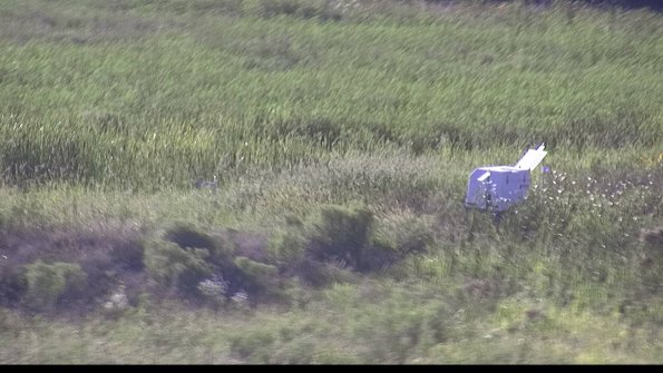 capture-5-23-08-12_18-39-02-63