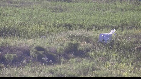 capture-5-23-08-12_19-09-02-97