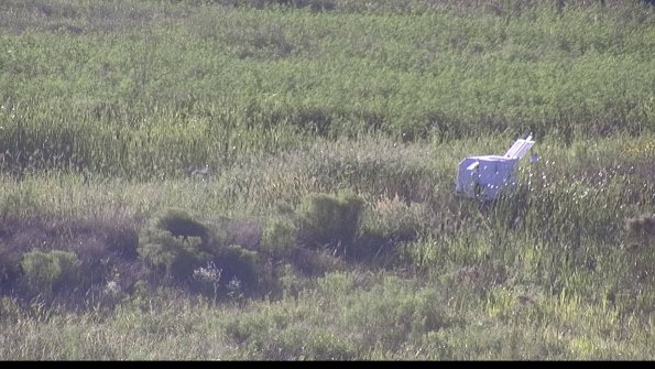 capture-5-23-08-12_19-11-03-12