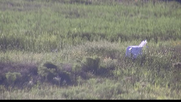 capture-5-23-08-12_19-13-03-24