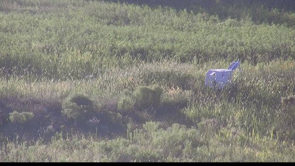 capture-5-23-08-12_19-42-01-39