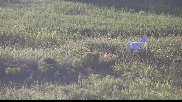 capture-5-23-08-12_19-46-01-20