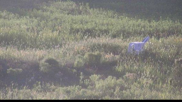 capture-5-23-08-12_19-54-01-18