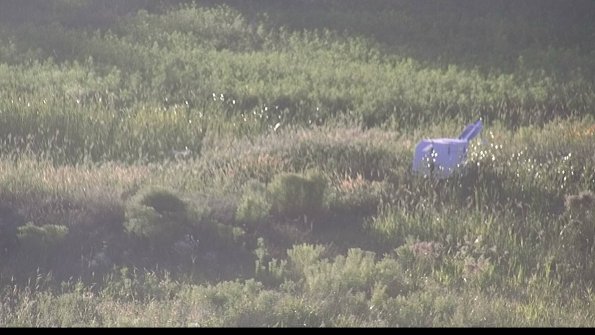 capture-5-23-08-12_19-56-02-20