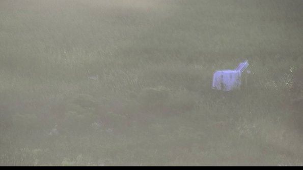 capture-5-23-08-12_20-16-00-87