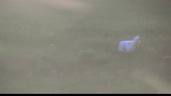 capture-5-23-08-12_20-18-02-19