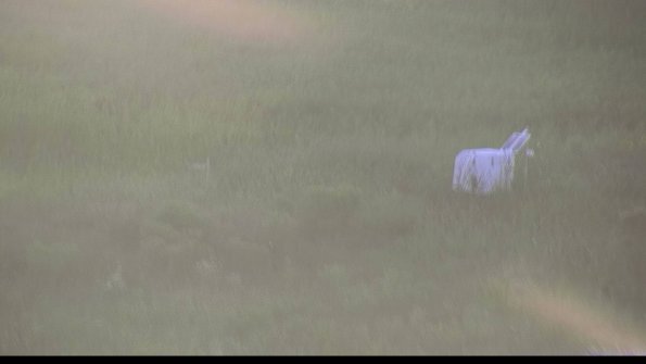 capture-5-23-08-12_20-20-00-98