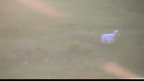 capture-5-23-08-12_20-24-00-92