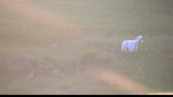 capture-5-23-08-12_20-28-00-86