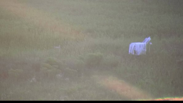 capture-5-23-08-12_20-30-02-02