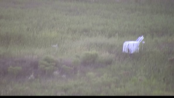 capture-5-23-08-12_20-34-02-16