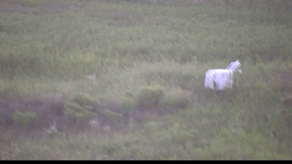 capture-5-23-08-12_20-40-01-05