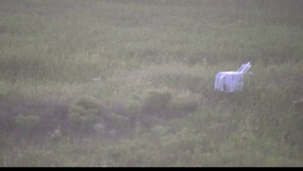 capture-5-23-08-12_20-58-02-31