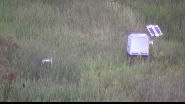 capture-6-23-08-12_07-03-43-52