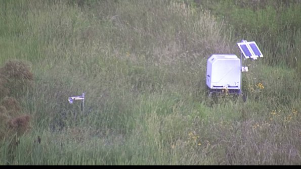 capture-6-23-08-12_07-33-43-39