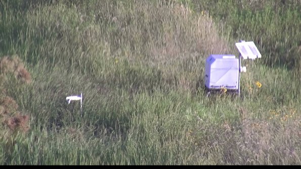 capture-6-23-08-12_08-03-44-23