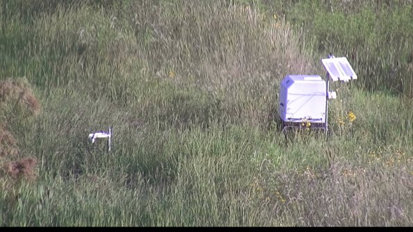 capture-6-23-08-12_08-19-44-03