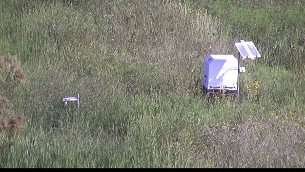 capture-6-23-08-12_09-09-44-35