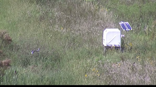 capture-6-23-08-12_16-02-17-65