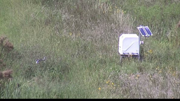 capture-6-23-08-12_16-04-17-70