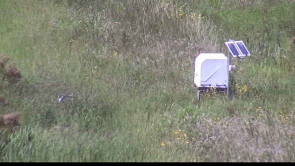 capture-6-23-08-12_16-14-17-37