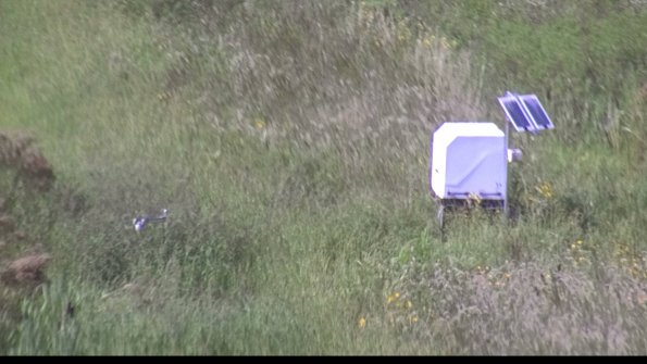 capture-6-23-08-12_16-36-17-46