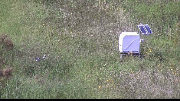 capture-6-23-08-12_16-42-17-73