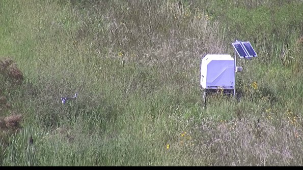 capture-6-23-08-12_16-46-17-87