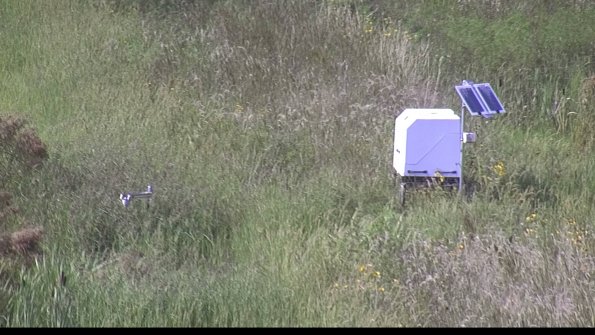 capture-6-23-08-12_17-06-50-04