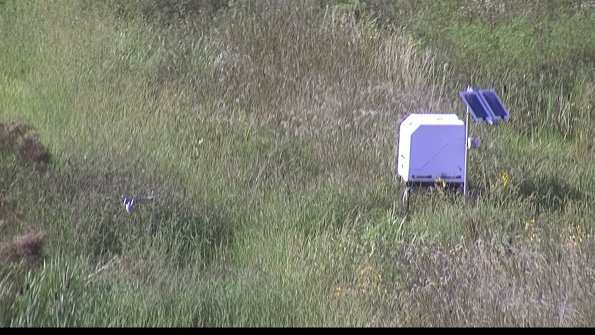 capture-6-23-08-12_17-53-17-67