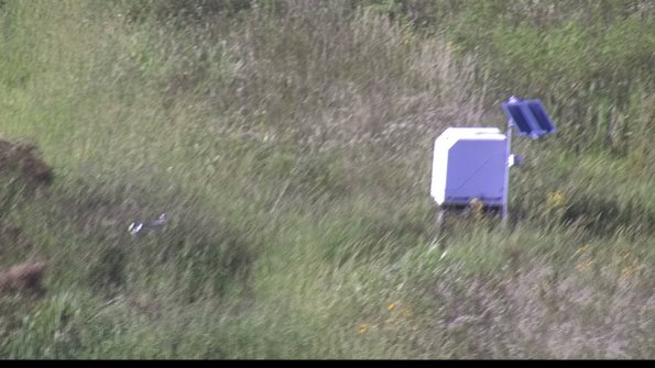 capture-6-23-08-12_18-17-16-55