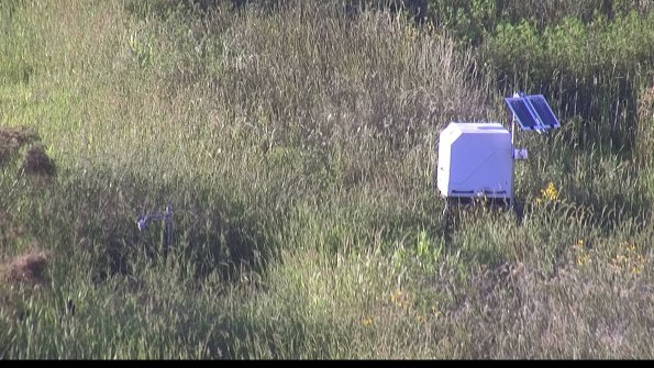 capture-6-23-08-12_19-44-15-96