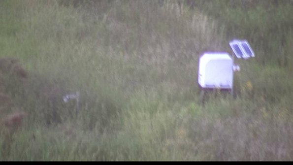 capture-6-23-08-12_20-28-15-98