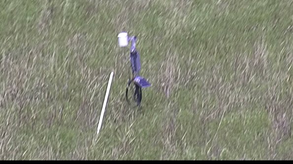 capture-7-23-08-12_15-10-31-53