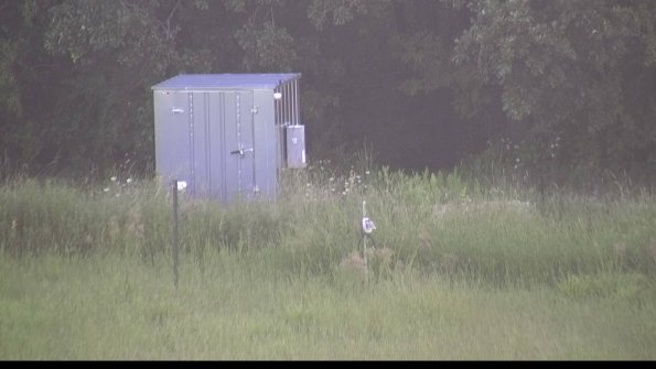 capture-2-23-08-13_07-51-18-97