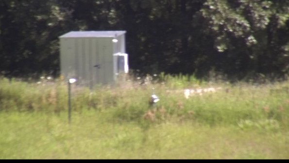 capture-2-23-08-13_10-52-49-75