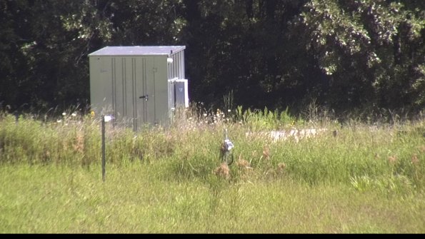 capture-2-23-08-13_11-02-49-69