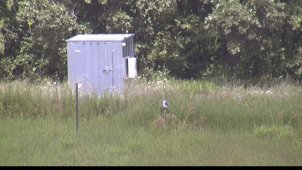 capture-2-23-08-13_14-20-02-37