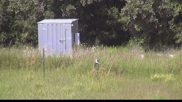 capture-2-23-08-13_15-46-01-74